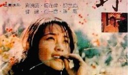 国产对白操,本土语言艺术的传承与创新