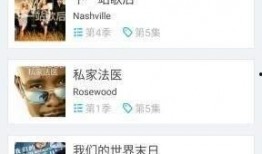 亚洲国产视频中文字幕,字幕背后的文化魅力与情感共鸣